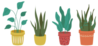 plantes